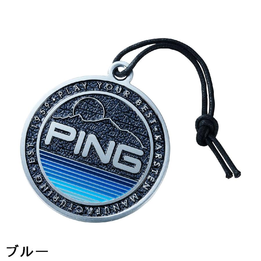 PING（ピン） メタルネームプレート : GDOゴルフショップ Yahoo!店