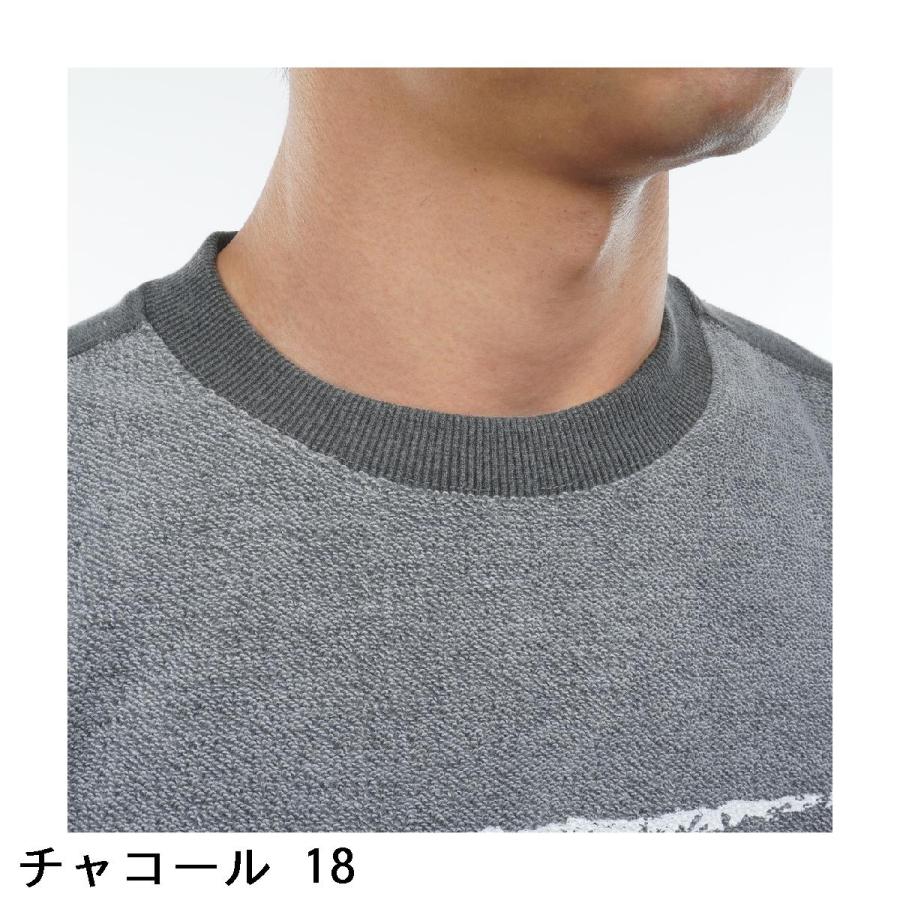 Rosasen（ロサーセン） 裏毛裏使い ウォッシュドプルオーバー : GDO