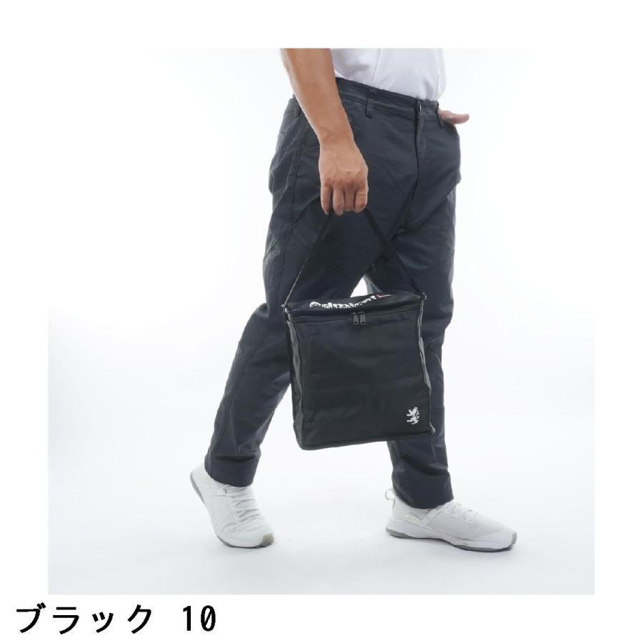 アドミラル Admiral コンパクトクールバッグの画像