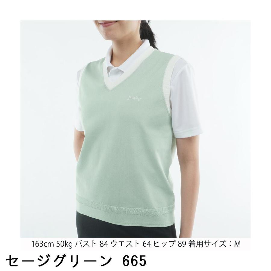 BRIEFING GOLF（ブリーフィングゴルフ） ブリーフィング BRIEFING WR