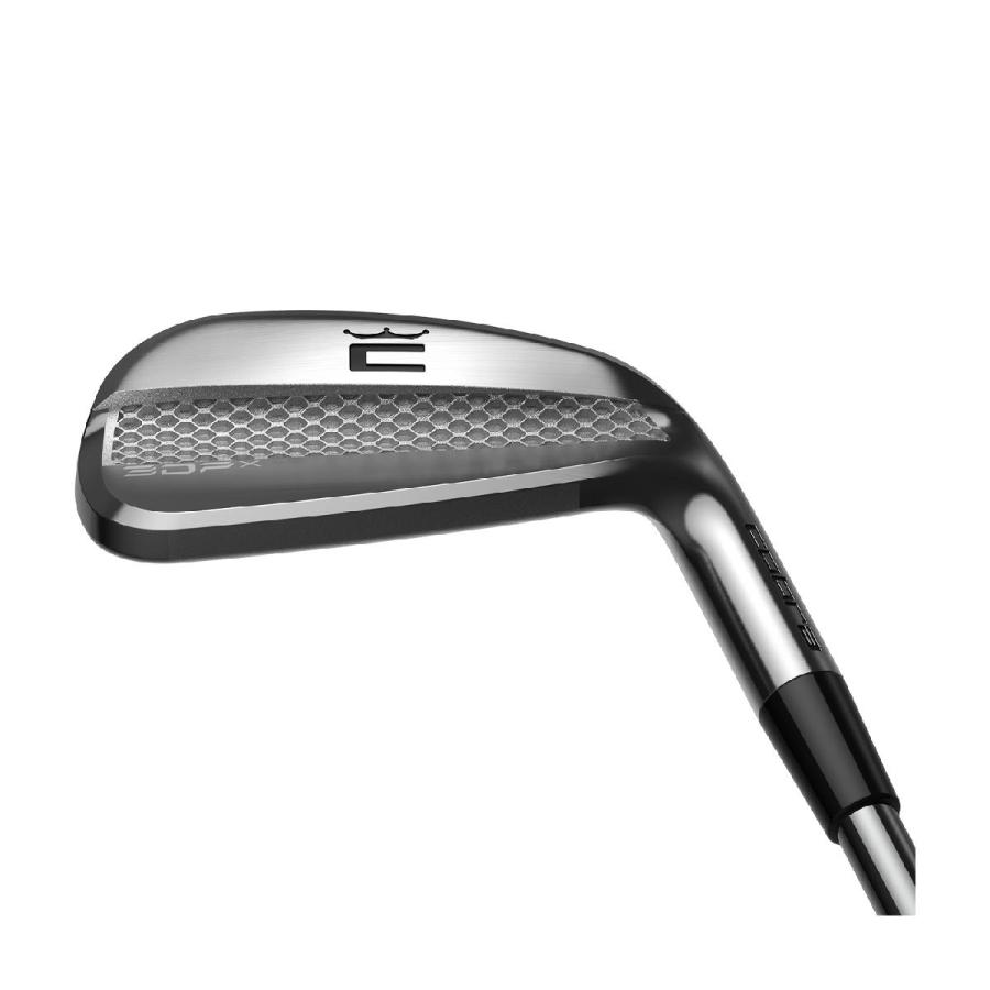 Nippon Shaft | Realizing Pro Golfers' Tour Dreams コブラ KING
