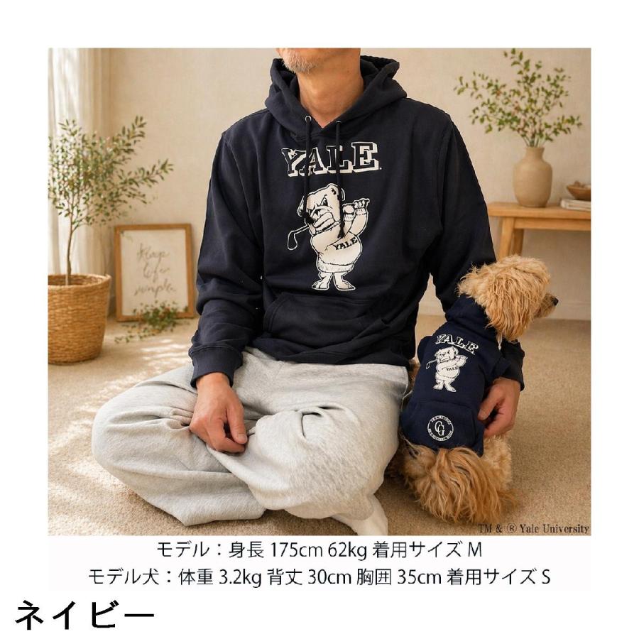 Tシャツ 【美品】激レア BEAMS GOLF ビームスゴルフYALE イェール大学 