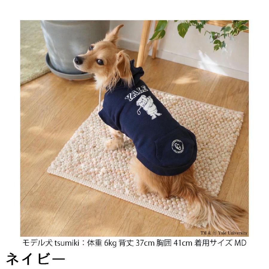 Tシャツ 【美品】激レア BEAMS GOLF ビームスゴルフYALE イェール大学 