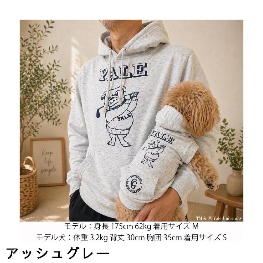 Tシャツ 【美品】激レア BEAMS GOLF ビームスゴルフYALE イェール大学 