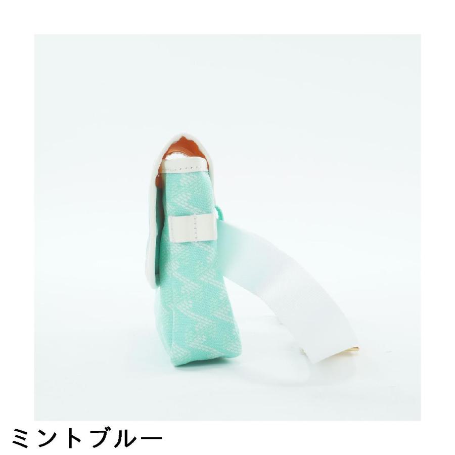 レザレクション Resurrection 丸山茂樹プロエディション アイクス