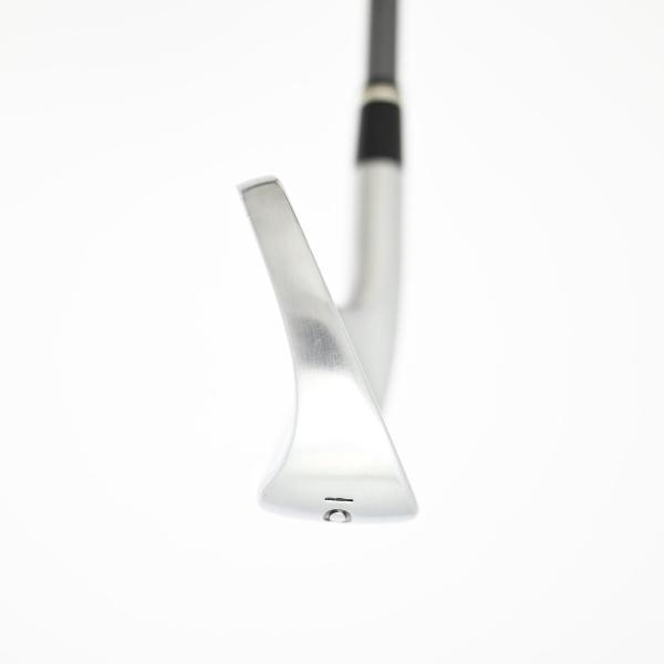TaylorMade（テーラーメイド） GLOIRE グローレ F2 アイアン GL6600 