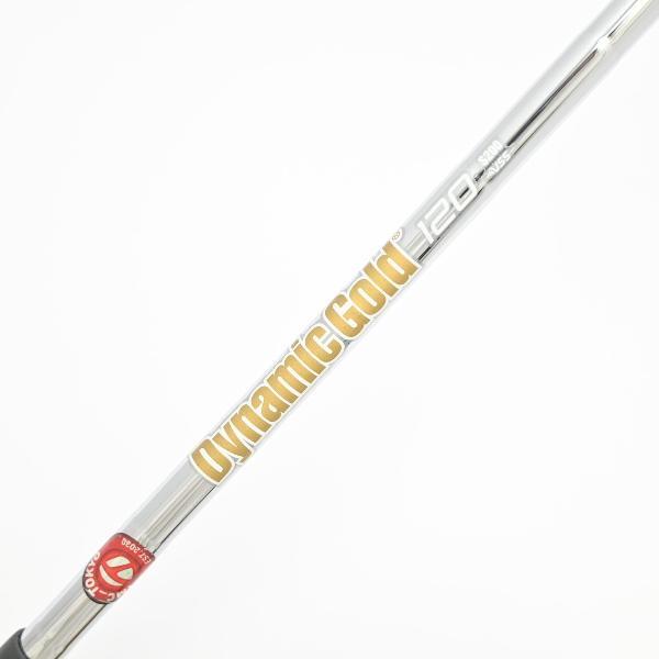 TaylorMade（テーラーメイド） P790 P790(2021) アイアン Dynamic Gold