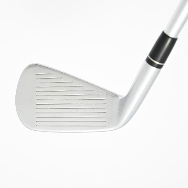 TaylorMade（テーラーメイド） P790 P790 アイアン Dynamic Gold 105