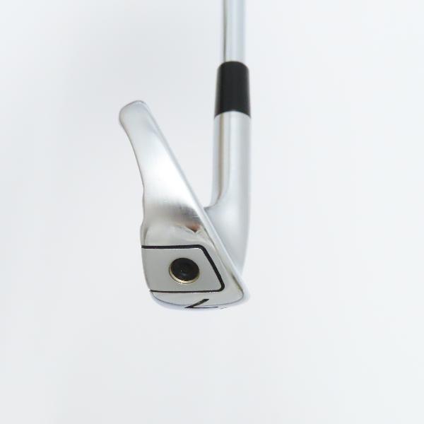 TaylorMade（テーラーメイド） P790 P790(2019) アイアン Dynamic Gold