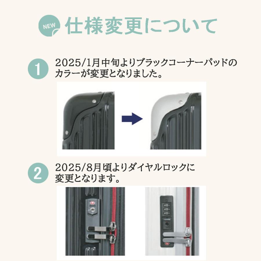 TRANS CONTINENTS（トランスコンチネンツ） 【SALE 20%OFF】 TC-0855