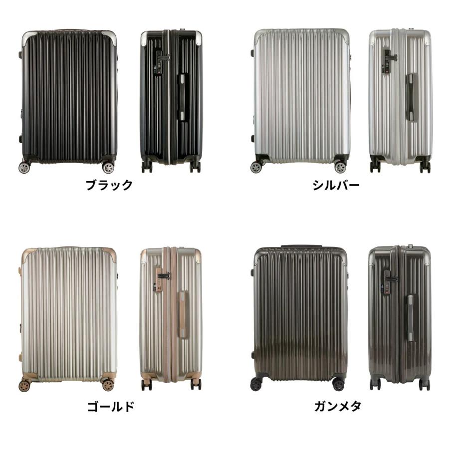 トライデント 【SALE 55%OFF】 シフレ TRIDENT TRI2035K-67 キャリー