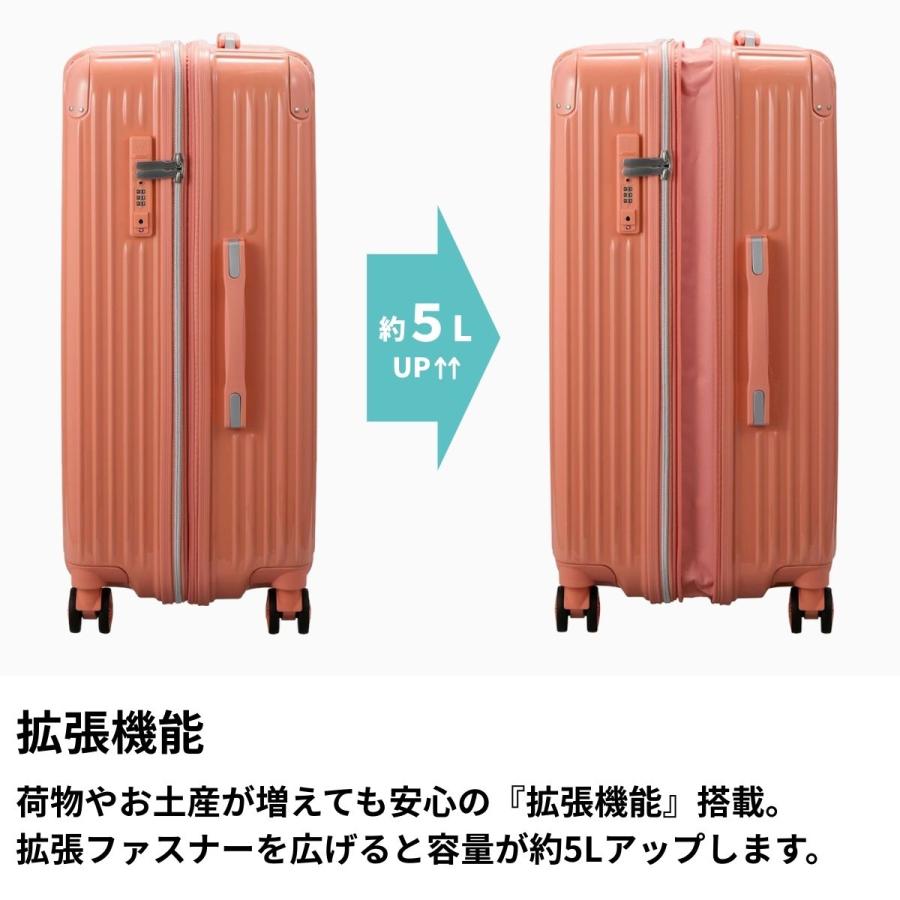 トライデント 【SALE 55%OFF】 シフレ TRIDENT TRI2035K-67 キャリー