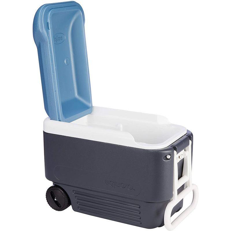 igloo(イグルー) マックスコールド 40 ホイール (38L) ジェットカーボン #34061 イグルー マックスコールド ホイール 38L ジェットカーボン #34061