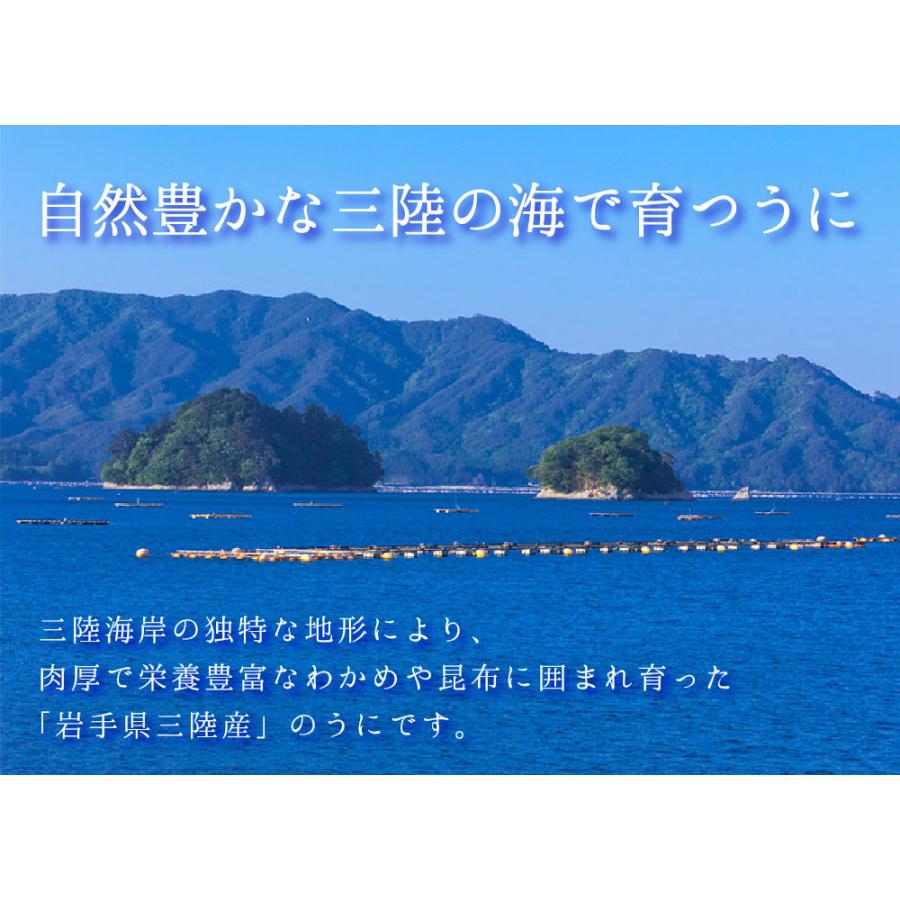 焼うに 100g 塩うに 80g 食べ比べセット 各1個 五篤丸水産 父の日 お中元 2025 プレゼント グルメ  ギフト お取り寄せ うに ウニ 3.11 贈り物 |  | 01