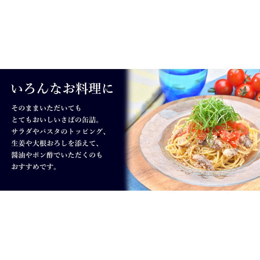 サバ缶 国産 水煮 鯖缶 さば 缶詰 160g 3缶 タイム缶詰 Gui 日本まるごと新鮮市場 通販 Yahoo ショッピング