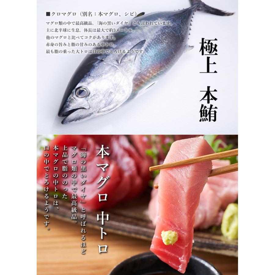 市場 沖縄県産 冷凍 本マグロ 柵2本マグロの王様 大トロ