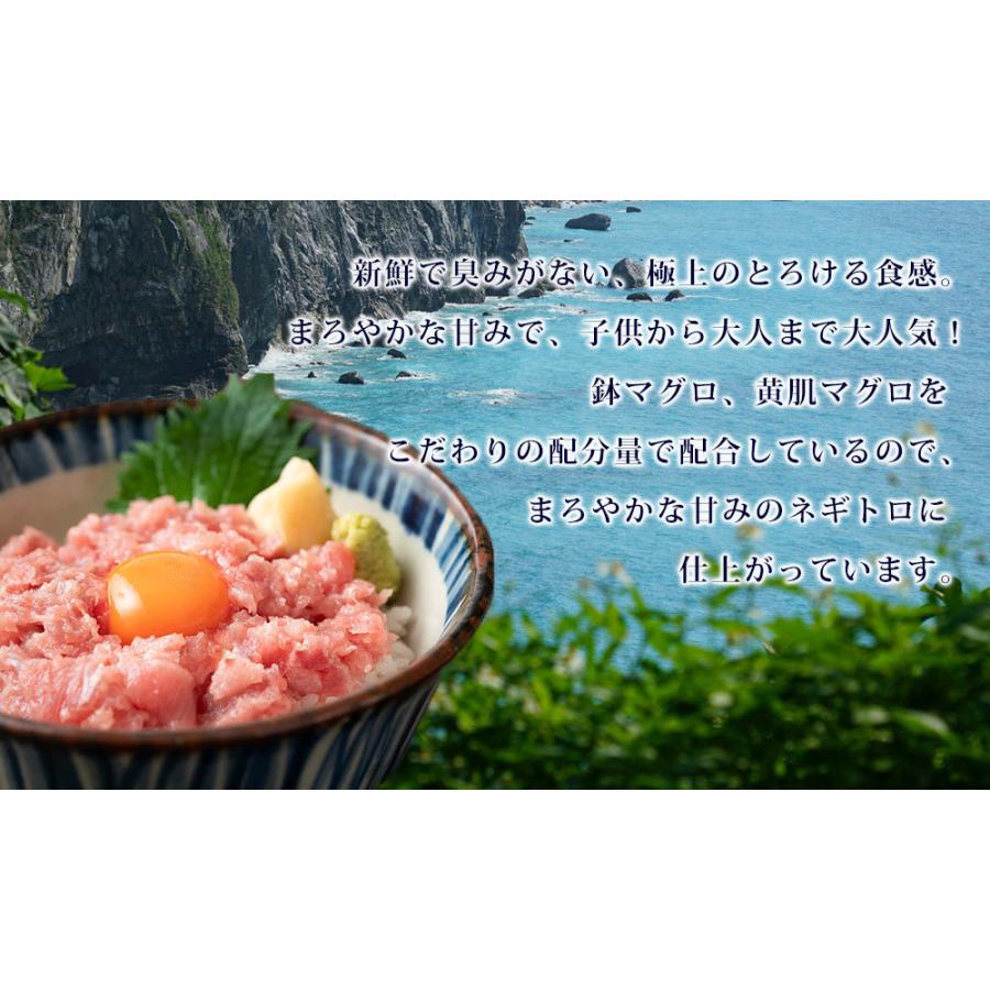 海鮮三色丼 ネギトロ ホタテ 鯛 海鮮丼 海鮮 セット 刺身 敬老の日 プレゼント ギフト 3 4人前 Kaisendon26 日本まるごと新鮮市場 通販 Yahoo ショッピング