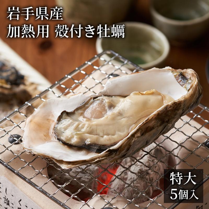 新品未使用正規品 生牡蠣 岩手県産 特大 殻付き カキ かき 加熱用 5個入 タイコウ Baclofentreatment Com
