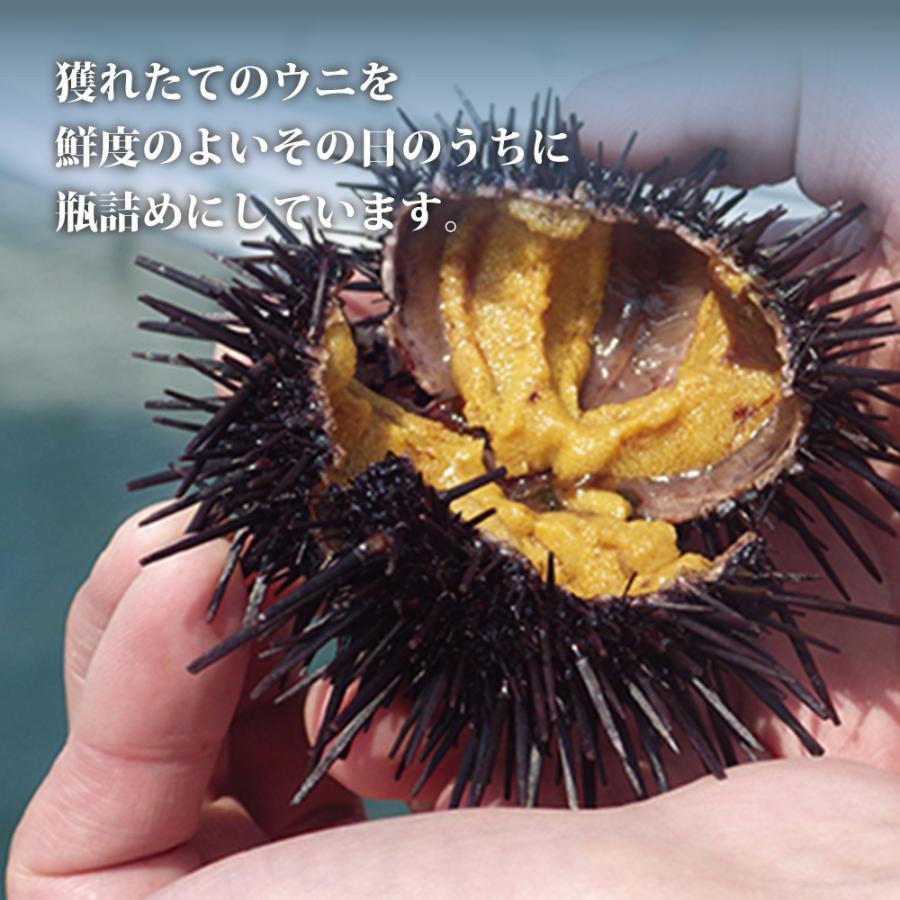 生うに 2本セット 三陸産 ウニ 瓶詰め 生ウニ 今だけ送料無料 無添加 塩水うに お取り寄せ グルメ ギフト 川村鮮魚店 Kawamura02 1 日本まるごと新鮮市場 通販 Yahoo ショッピング