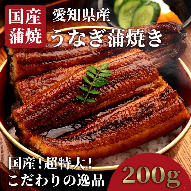 うなぎ 国産 蒲焼 1尾 鰻 土用 丑の日 お中元 ギフト 冷凍 200g うなぎ 国産 蒲焼 1尾 鰻 土用 丑の日 お中元 ギフト 冷凍 200g