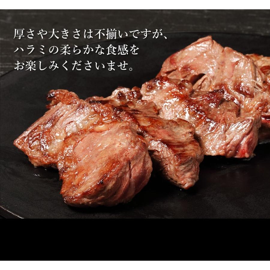 メガ盛り ハラミ サガリ 最大1kg 焼肉セット 焼肉 焼き肉 牛肉 肉 お肉 訳あり 送料無料 bbq バーベキュー 冷凍 お取り寄せ グルメ 父の日 ギフト 食品 食べ物｜geki-niku｜09