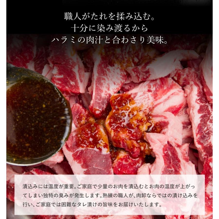 メガ盛り ハラミ サガリ 最大1kg 焼肉セット 焼肉 焼き肉 牛肉 肉 お肉 訳あり 送料無料 bbq バーベキュー 冷凍 お取り寄せ グルメ 父の日 ギフト 食品 食べ物｜geki-niku｜11