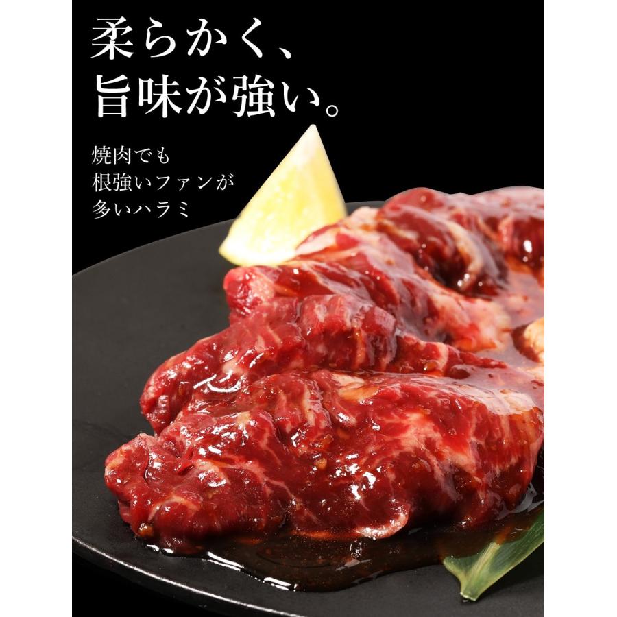 メガ盛り ハラミ サガリ 最大1kg 焼肉セット 焼肉 焼き肉 牛肉 肉 お肉 訳あり 送料無料 bbq バーベキュー 冷凍 お取り寄せ グルメ 父の日 ギフト 食品 食べ物｜geki-niku｜03