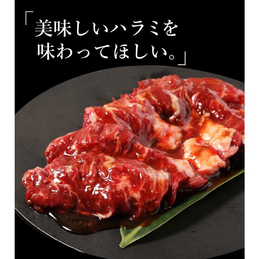 メガ盛り ハラミ サガリ 最大1kg 焼肉セット 焼肉 焼き肉 牛肉 肉 お肉 訳あり 送料無料 bbq バーベキュー 冷凍 お取り寄せ グルメ 父の日 ギフト 食品 食べ物｜geki-niku｜06