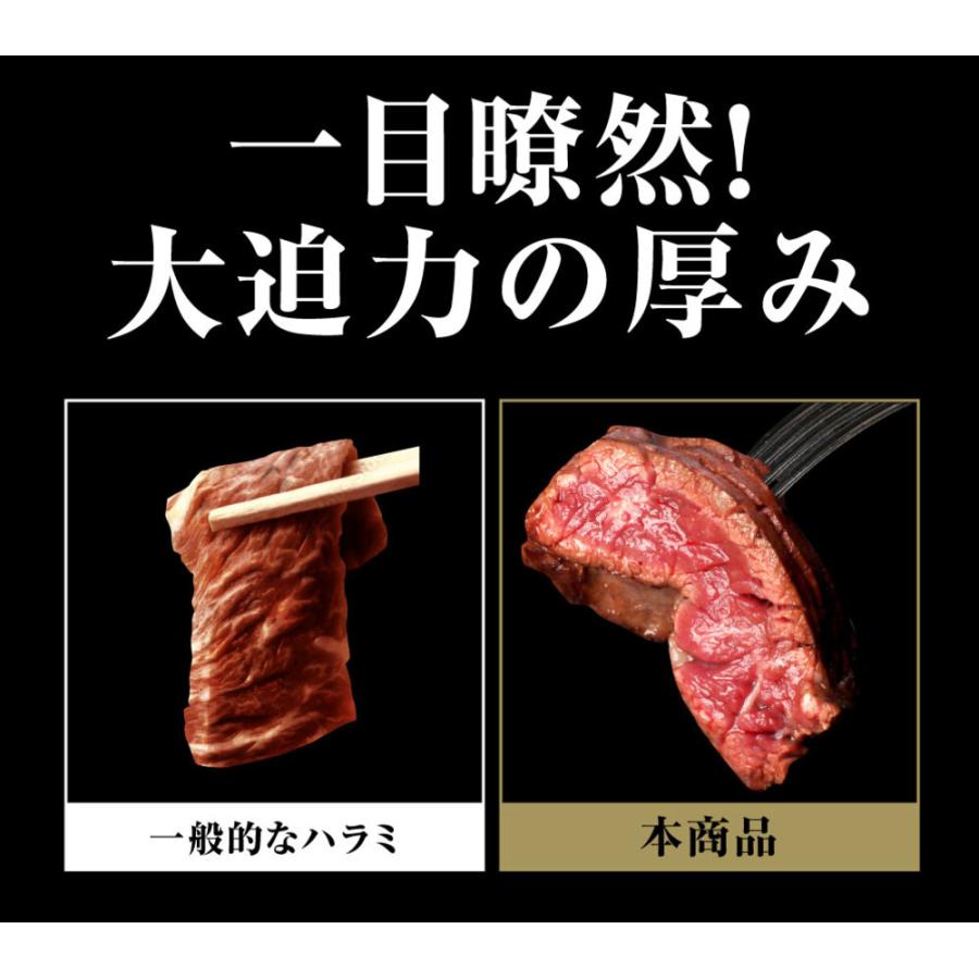 メガ盛り ハラミ 1kg 焼肉 はらみ 牛はらみ 厚切りハラミ 焼き肉 牛肉