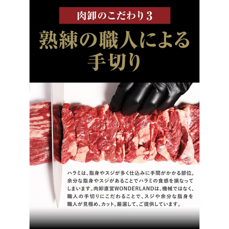 メガ盛り ハラミ 1kg 焼肉 はらみ 牛はらみ 厚切りハラミ 焼き肉 牛肉