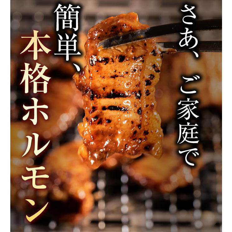 ホルモン 訳あり 肉 焼肉 バーベキュー お取り寄せ グルメ 父の日 ギフト 食品 ポイント消化 人気 シマチョウ てっちゃん もつ 味噌 タレ 500g｜geki-niku｜19