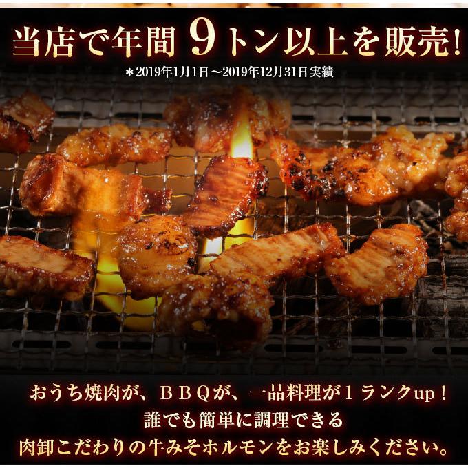 ホルモン 訳あり 肉 焼肉 バーベキュー お取り寄せ グルメ 父の日 ギフト 食品 ポイント消化 人気 シマチョウ てっちゃん もつ 味噌 タレ 500g｜geki-niku｜08