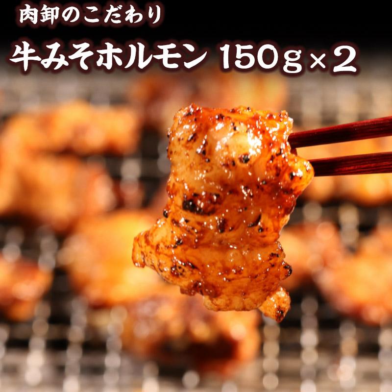 てっちゃん 　新品未開封 2個 ホルモン てっちゃん 300g (150g×2) 3個同時購入 送料無料 訳あり 焼肉