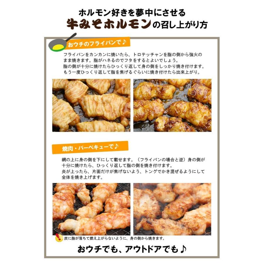 ホルモン てっちゃん 300g (150g×2) 3個同時購入 送料無料 訳あり 焼肉