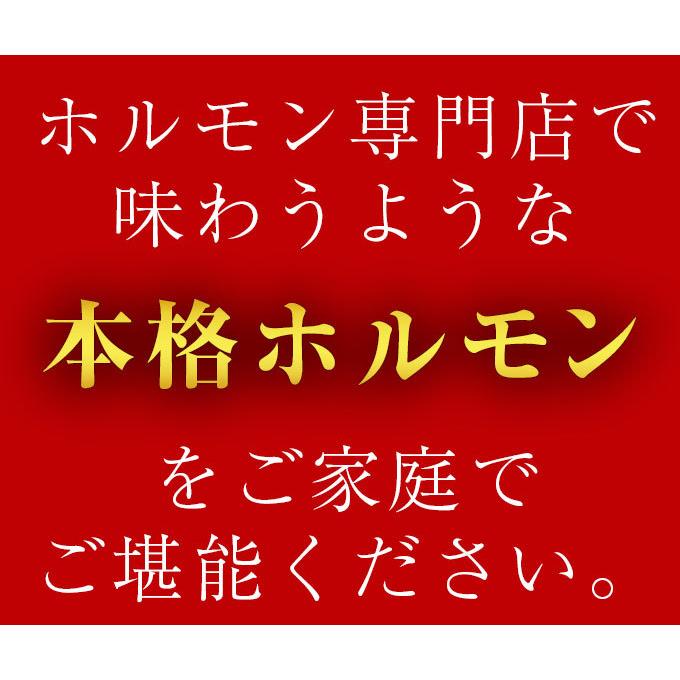 ホルモン てっちゃん 3個同時購入 送料無料 ホルモン 訳あり 焼肉 牛肉 食品 ギフト お取り寄せ グルメ ほるもん 300g（150g×2）｜geki-niku｜03