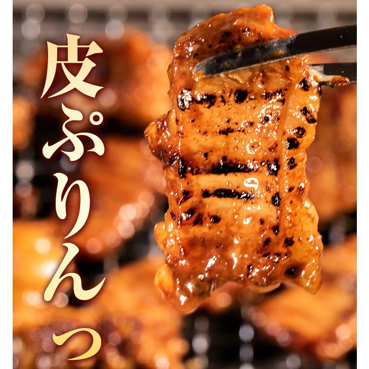 てっちゃん 　新品未開封 2個 ホルモン てっちゃん 300g (150g×2) 3個同時購入 送料無料 訳あり 焼肉