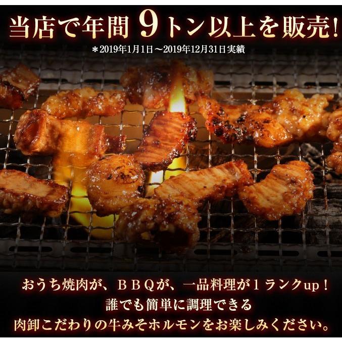 父の日 プレゼント 食べきりサイズ! 3個同時購入 送料無 ホルモン 訳あり 焼肉 牛肉 御歳暮 食品 ギフト お取り寄せ グルメ ほるもん 300g(150g×2) :tettyanset:肉卸直営 びっくり市の激肉王 通販 こだわりの味ホルモン 豚ホルモンみそ味300g×1 単品 食べきりサイズ