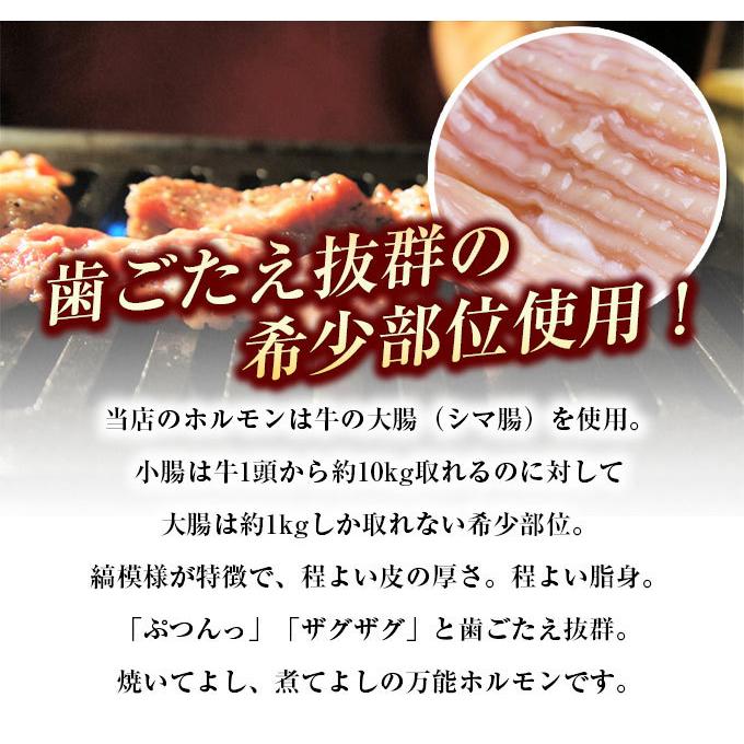 てっちゃん 　新品未開封 2個 ホルモン てっちゃん 300g (150g×2) 3個同時購入 送料無料 訳あり 焼肉