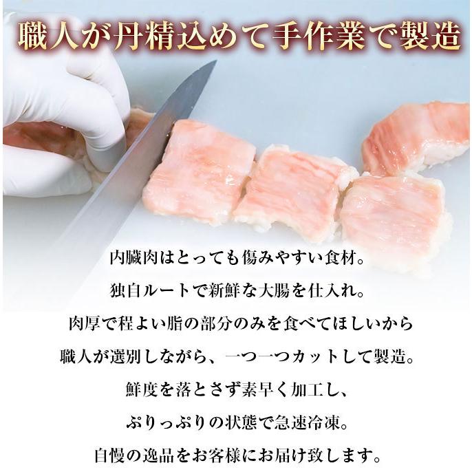 ホルモン てっちゃん 300g (150g×2) 3個同時購入 送料無料 訳あり 焼肉