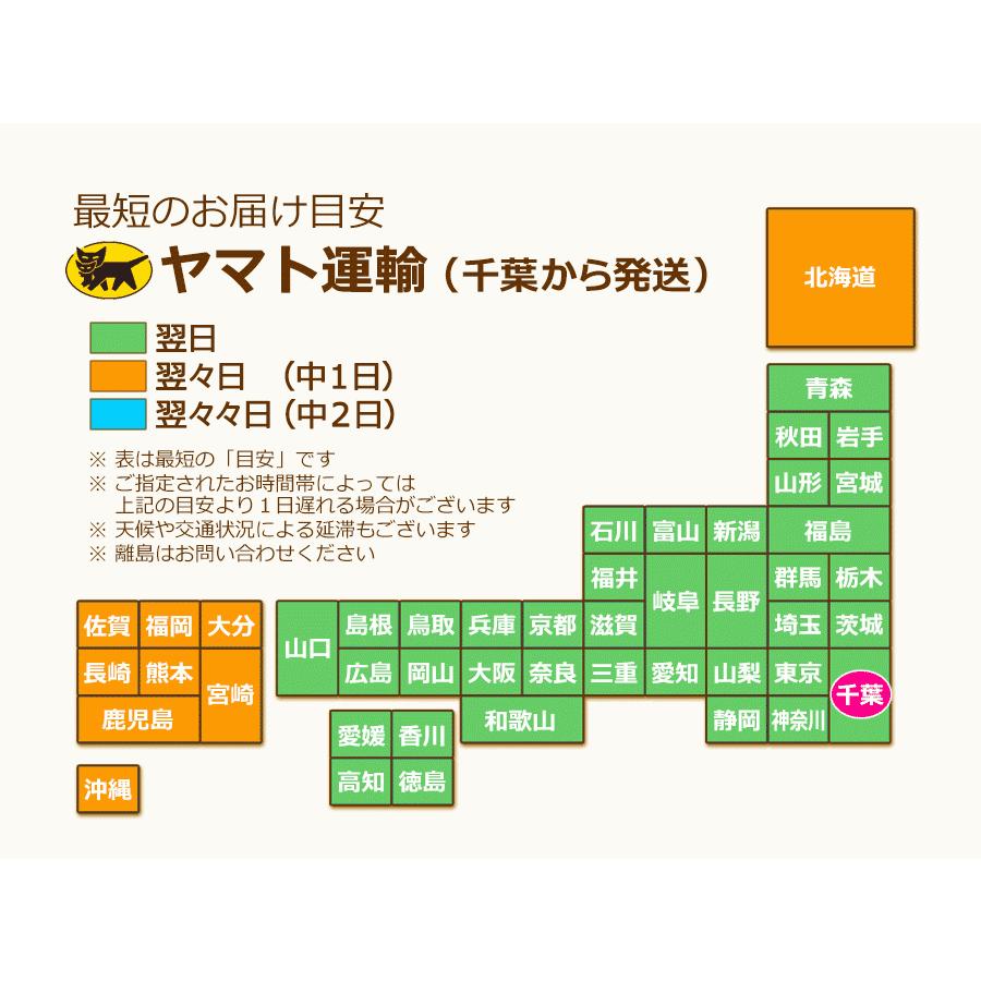 行灯仕立ての江戸朝顔 あさがお アサガオ 6号 1鉢 ラッピング メッセージカード不可 離島 沖縄配送不可 Flo Asagao6 ゲキハナ初心者さんのお花屋さん 通販 Yahoo ショッピング