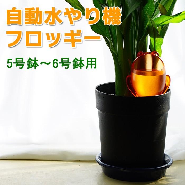 自動水やり器 5号から6号鉢用 植物用 自動水やり機 フロッギーmサイズ ドイツ製 Geki Flog M ゲキハナ初心者さんのお花屋さん 通販 Yahoo ショッピング