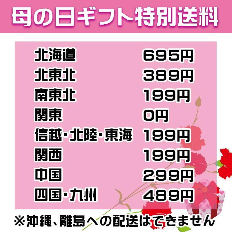 母の日 22 母の日 鉢植え 鉢花 カラー ピンクのカラー 華やかピンクのカラー 花 ギフト 鉢植え ピンク プレゼント Mother Edo Calla ゲキハナ初心者さんのお花屋さん 通販 Yahoo ショッピング