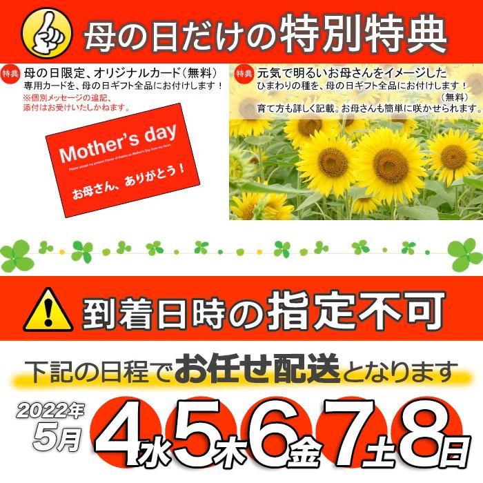 母の日 22 ギフト お花 プレゼント 鉢植え 癒し 上質クチナシの花 八重咲き 甘い香り漂う くちなし 梔子 鉢植え 義母 珍しい 沖縄 一部離島配送不可 Mother Edo Kuchi ゲキハナ初心者さんのお花屋さん 通販 Yahoo ショッピング