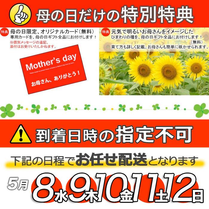 【5月11日出荷（一部地域は遅れてごめんね配送！）】母の日 2024 プレゼント おしゃれ 鉢植え 70代 60代 50代 「バラ咲き大輪ユリ ローズリリー 3本立ち」｜gekihana｜09