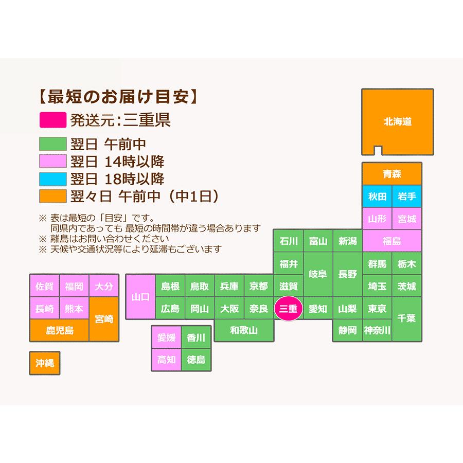 キセログラフィカ 1個 ミニサイズ 特大サイズまで各種あります エアープランツ チランジア 価格はｓサイズの価格です Nanki Xero ゲキハナ初心者さんのお花屋さん 通販 Yahoo ショッピング