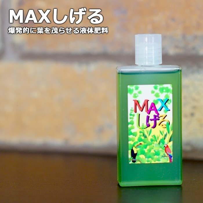 活力剤 植物用 園芸 液体肥料 液肥 栄養剤 葉を元気にする チッソ 花 観葉植物 多肉植物 エアプランツ 用 肥料 液体 濃縮タイプ「MAXしげる 40cc」 の商品画像