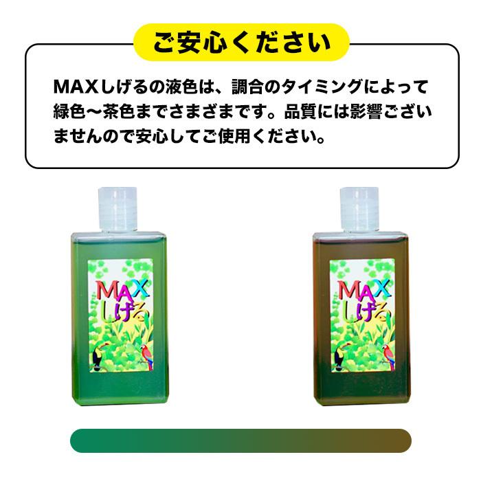 活力剤 植物用 園芸 液体肥料 液肥 栄養剤 葉を元気にする チッソ 花
