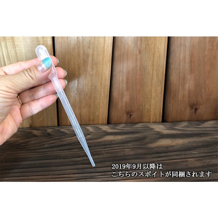 活力剤 植物用 園芸 液体肥料 液肥 栄養剤 葉を元気にする チッソ 花