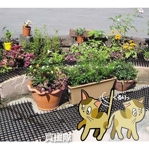 猫よけ ここダメシート 30cm×2m巻 12個セット 第一ビニール |  | 01