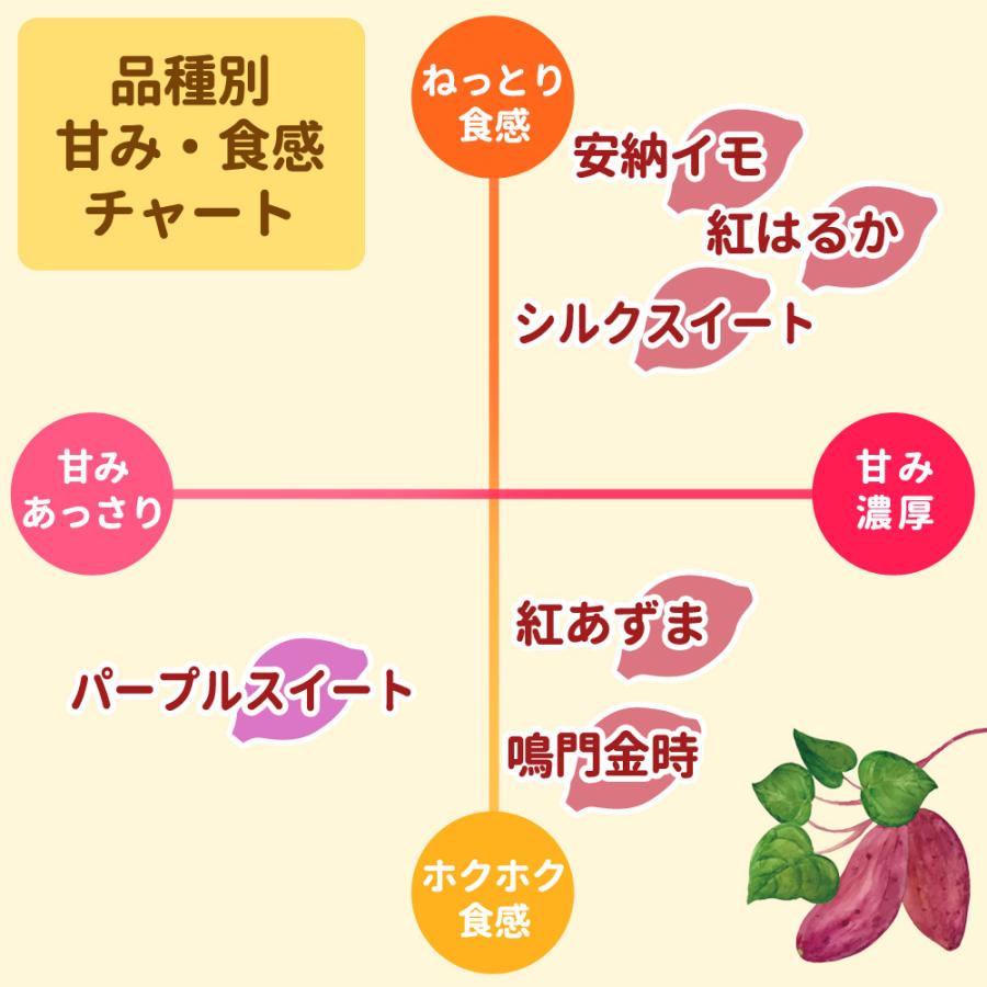 さつまいも苗 選べる6品種 100本入り 紅あずま 鳴門金時 安納イモ べに